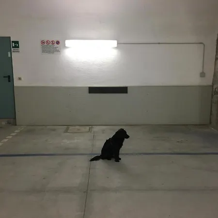 Casacuadra Cavana Apartamento *