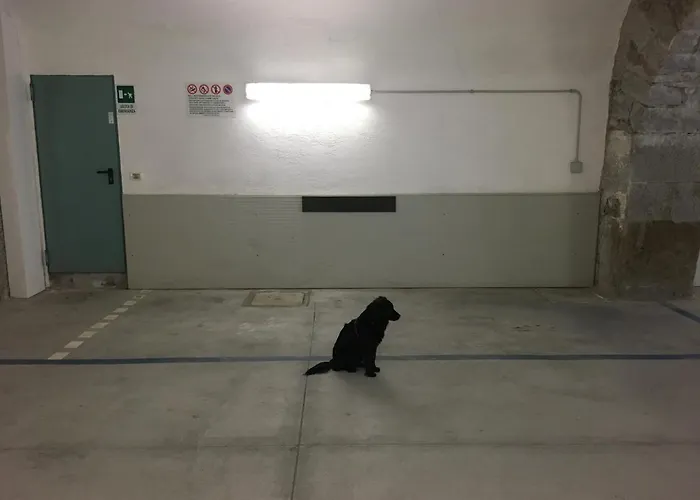 Casacuadra Cavana شقة *